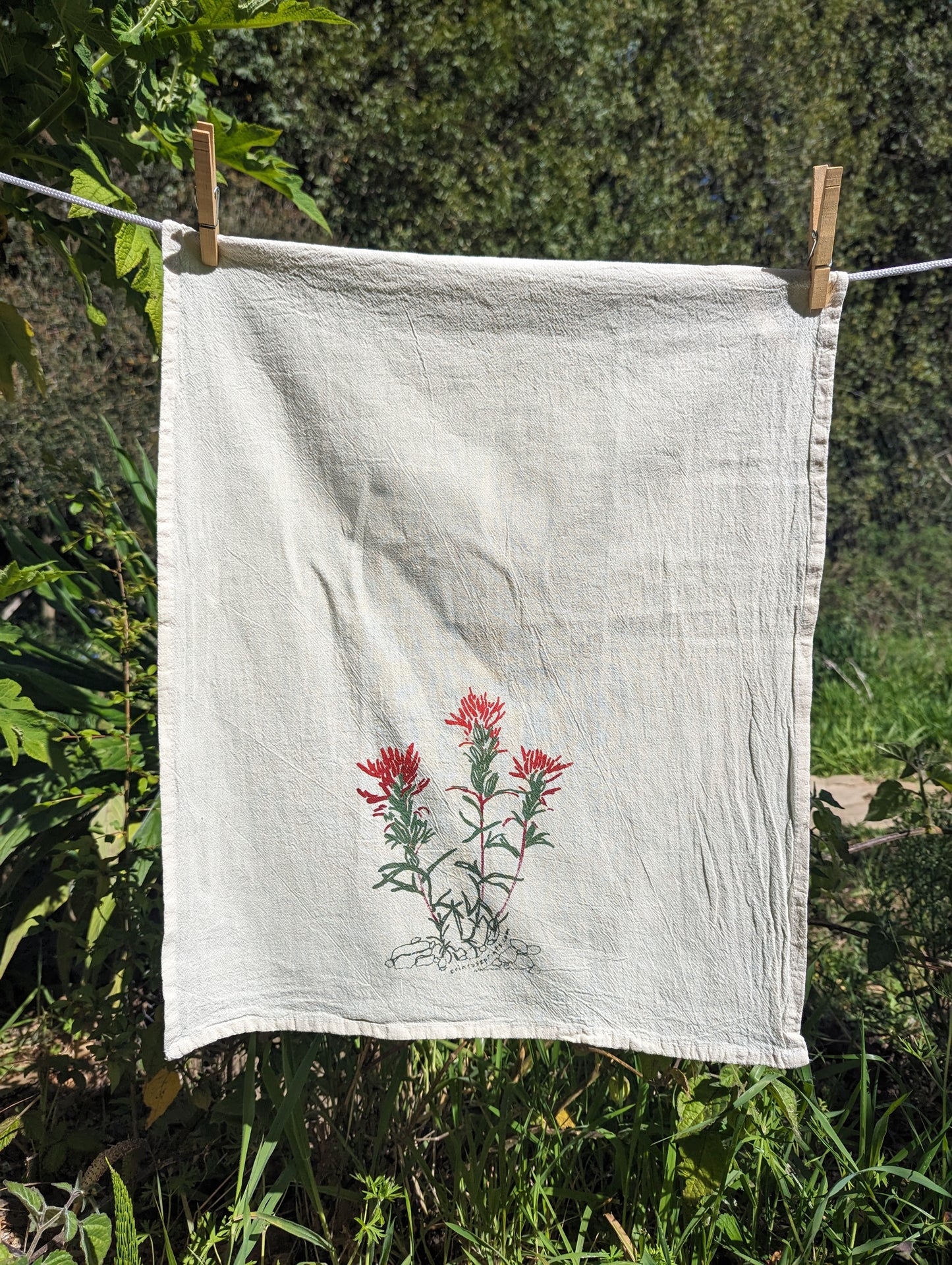 Indian Paintbush tea towel